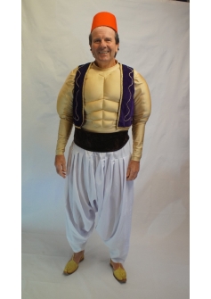 Aladdin Costume