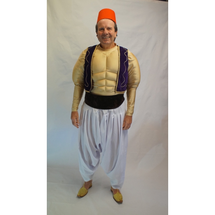 Aladdin Hire Costume Make Believe CK8