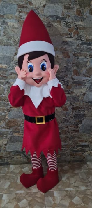 Elf Mascot Costume