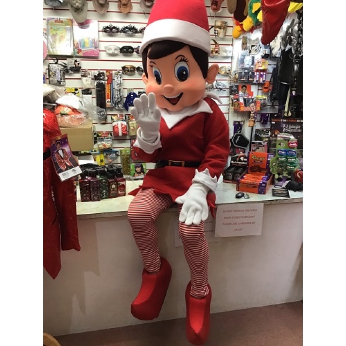 Elf Mascot Costume