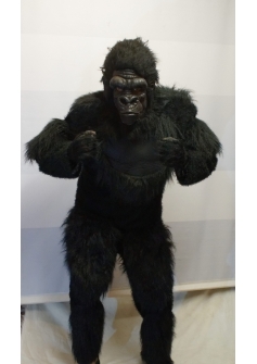 Gorilla