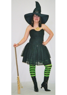 Make Believe Witch Spiderweb Corset Costume