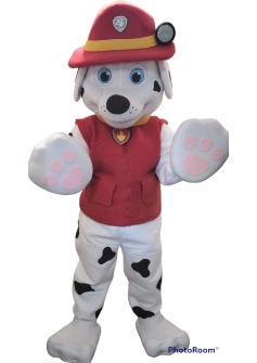 PhotoRoom_20221207_141706