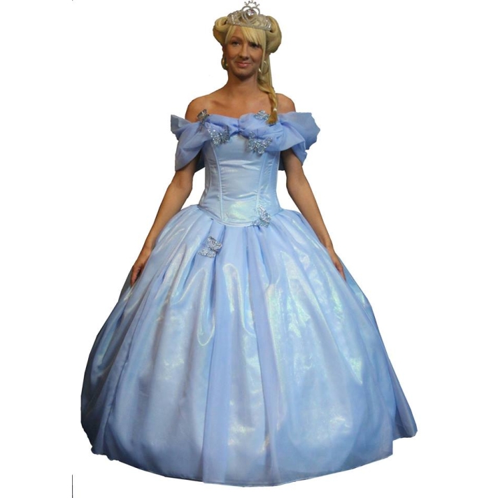 Cinderella Hire Costume Make Believe BH12AA