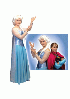 frozen-elsa-tv-film-fancy-dress-womans-deluxe-rental-costume-make-believe-bh15-bh15a-13623-p