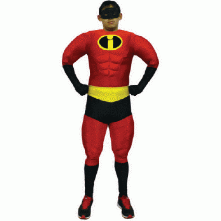 Mr Invincible Costume