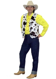toy-story-cowboy-sheriff-woody-deluxe-hire-rental-costume-men-s-cartoon-character-by3-by3a-options-costume-boots-14006-p
