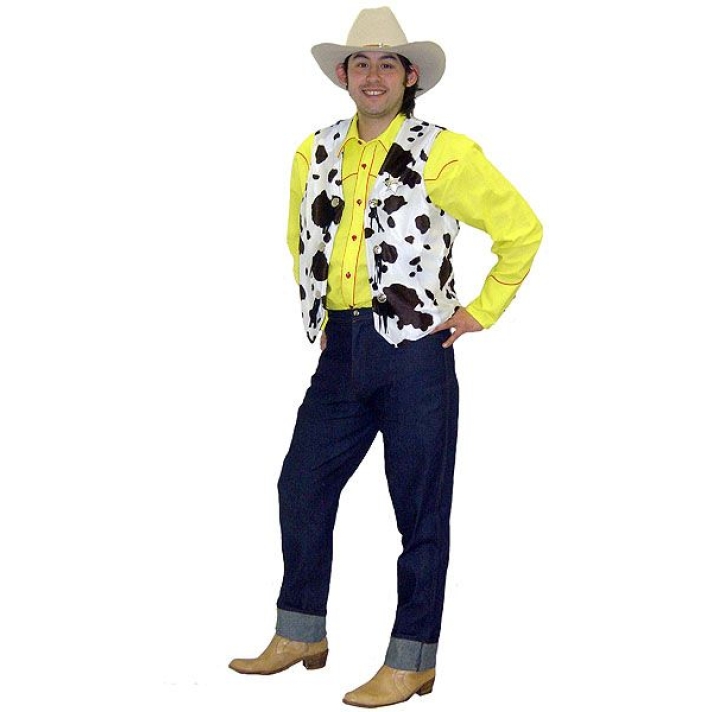 Cowboy Sheriff  Woody Costume
